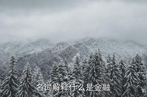名詞解釋什么是金融