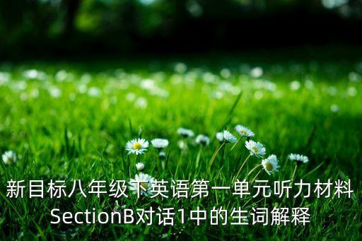 我為科技狂tech，the tech fans什么意思
