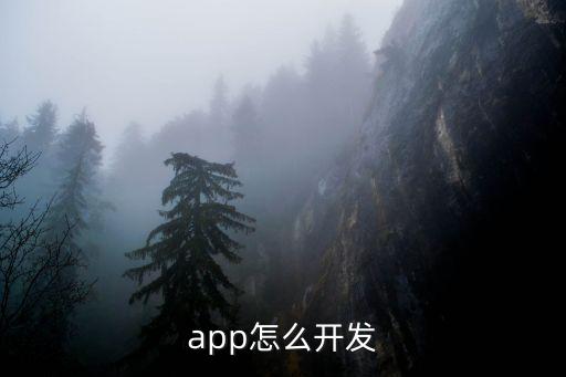app怎么開發(fā)