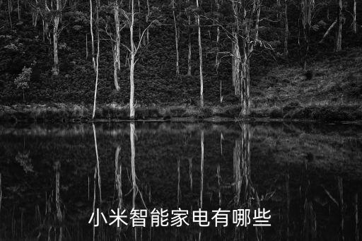 小米智能家居報價清單，小米智能家電有哪些