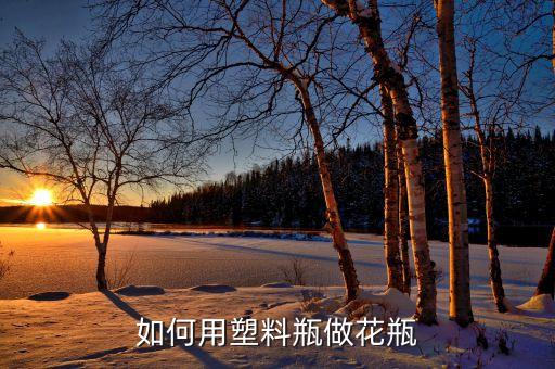 塑料瓶花瓶制作大全，如何用塑料瓶做花瓶