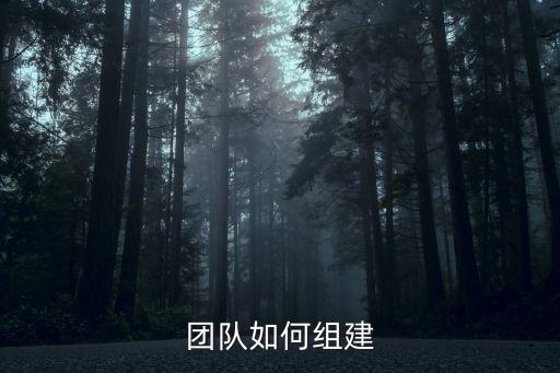 團(tuán)隊(duì)如何組建