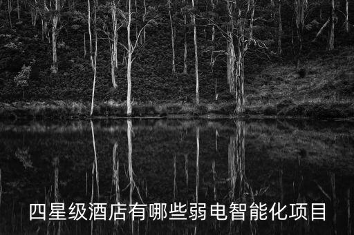 四星級(jí)酒店有哪些弱電智能化項(xiàng)目
