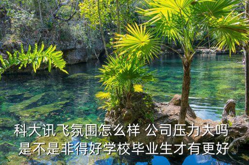 科大訊飛氛圍怎么樣 公司壓力大嗎 是不是非得好學(xué)校畢業(yè)生才有更好