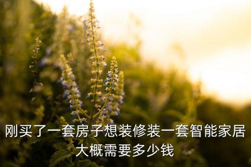 剛買了一套房子想裝修裝一套智能家居大概需要多少錢