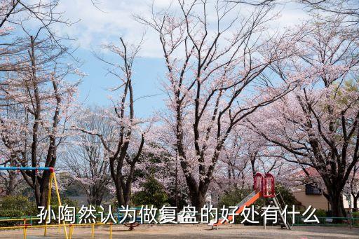 孫陶然認(rèn)為做復(fù)盤(pán)的好處有什么