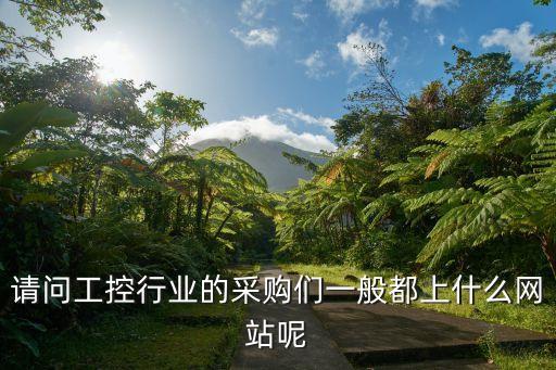 請(qǐng)問工控行業(yè)的采購們一般都上什么網(wǎng)站呢