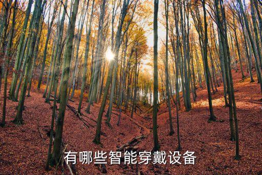 有哪些智能穿戴設(shè)備