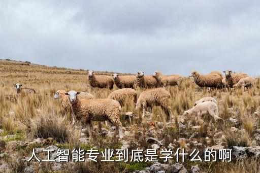 人工智能專業(yè)到底是學(xué)什么的啊