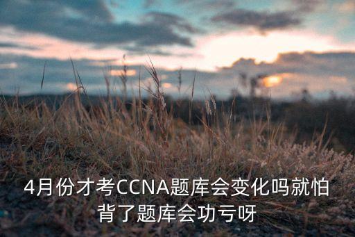業(yè)余無線電考試題庫變動嗎，業(yè)余無線電考試是選擇題嗎