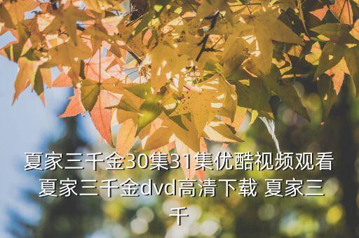 夏家三千金30集31集優(yōu)酷視頻觀看 夏家三千金dvd高清下載 夏家三千
