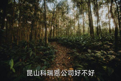 昆山科瑞恩自動化怎么樣，在昆山做自動化行業(yè)的待遇怎么樣