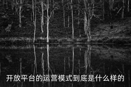 開放平臺的運營模式到底是什么樣的