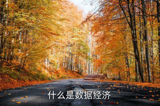 什么是數(shù)字經(jīng)濟(jì) 包括哪些，什么是數(shù)據(jù)經(jīng)濟(jì)