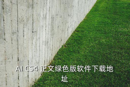 AI生成器下載，AI CS4 正文綠色版軟件下載地址