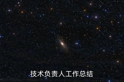 技術(shù)負(fù)責(zé)人工作總結(jié)