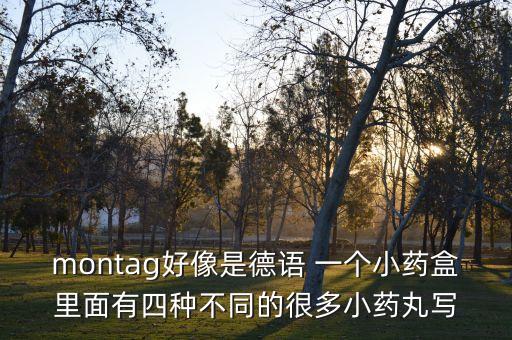 分藥盒圖片大全早中晚，montag好像是德語 一個(gè)小藥盒里面有四種不同的很多小藥丸寫