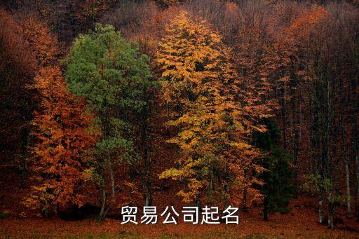 貿(mào)易公司起名