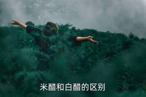 白色米醋和白醋的區(qū)別，米醋和白醋的區(qū)別