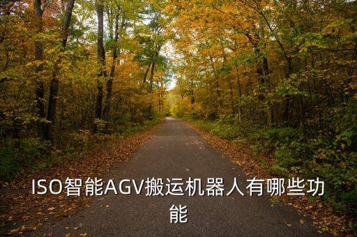 ISO智能AGV搬運機(jī)器人有哪些功能