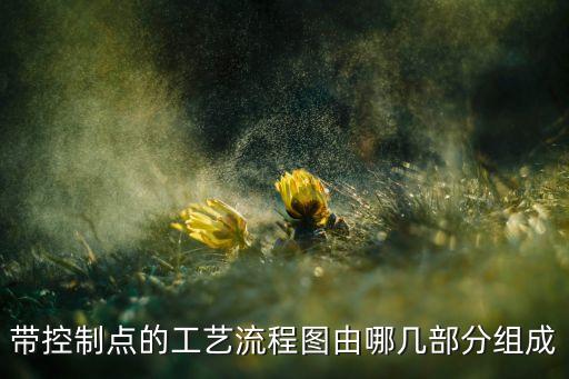 自動化設(shè)備生產(chǎn)流程管控圖，帶控制點(diǎn)的工藝流程圖由哪幾部分組成