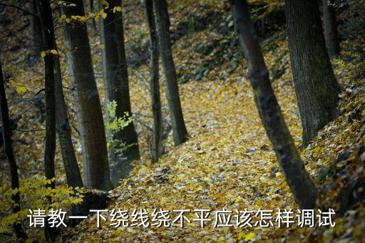 請教一下繞線繞不平應(yīng)該怎樣調(diào)試