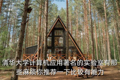 清華大學(xué)計算機應(yīng)用著名的實驗室有那些麻煩你推薦一下比較有能力