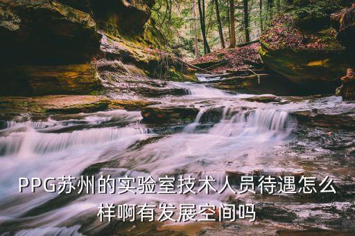 PPG蘇州的實(shí)驗(yàn)室技術(shù)人員待遇怎么樣啊有發(fā)展空間嗎