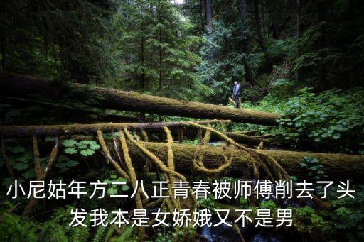 小尼姑年方二八正青春被師傅削去了頭發(fā)我本是女嬌娥又不是男