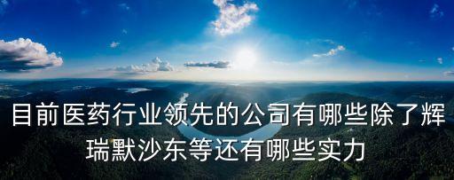 目前醫(yī)藥行業(yè)領(lǐng)先的公司有哪些除了輝瑞默沙東等還有哪些實(shí)力
