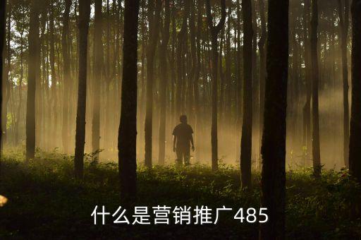 什么是營(yíng)銷推廣485