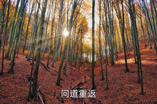 問(wèn)道重返