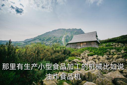 那里有生產小型食品加工的機械比如說油炸食品機