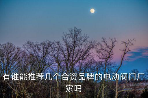 有誰能推薦幾個(gè)合資品牌的電動(dòng)閥門廠家嗎
