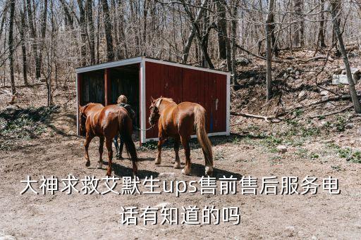 大神求救艾默生ups售前售后服務(wù)電話有知道的嗎
