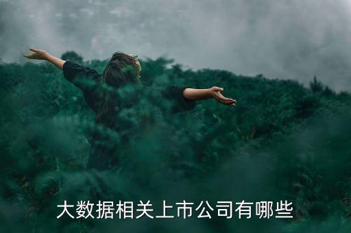 數(shù)字要素上市公司，大數(shù)據(jù)相關(guān)上市公司有哪些