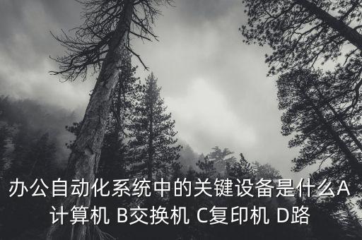 辦公自動(dòng)化的關(guān)鍵設(shè)備，辦公自動(dòng)化系統(tǒng)中的關(guān)鍵設(shè)備是什么A計(jì)算機(jī) B交換機(jī) C復(fù)印機(jī) D路