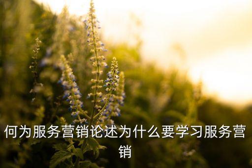 何為服務(wù)營銷論述為什么要學(xué)習(xí)服務(wù)營銷