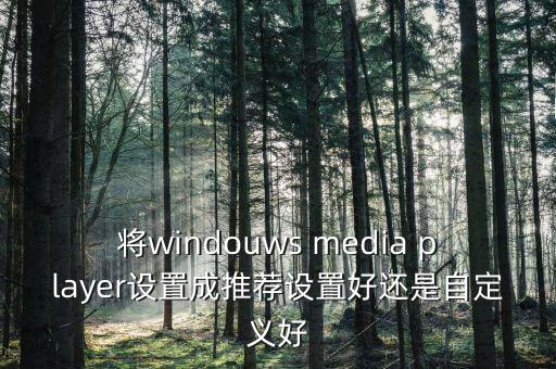 系統(tǒng)智能推薦和自定義推薦哪個好，將windouws media player設(shè)置成推薦設(shè)置好還是自定義好