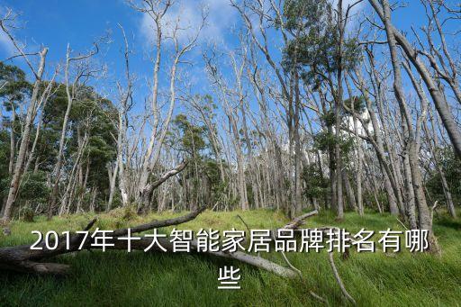 2017年十大智能家居品牌排名有哪些