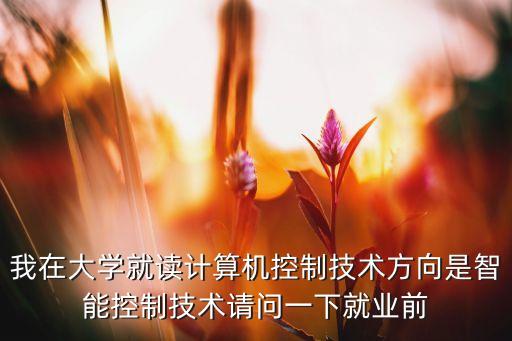 我在大學就讀計算機控制技術方向是智能控制技術請問一下就業(yè)前