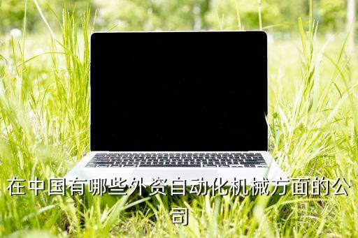 全國自動化公司，幫忙找一下國際國內(nèi)比較出名的電子自動化公司名單 如西門子等