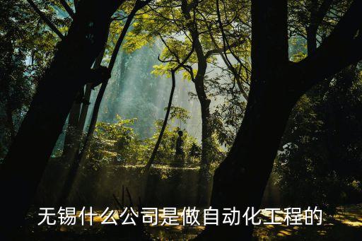 無(wú)錫什么公司是做自動(dòng)化工程的