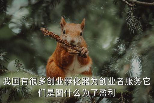 云端孵化器為創(chuàng)業(yè)者服務(wù)，我國有很多創(chuàng)業(yè)孵化器為創(chuàng)業(yè)者服務(wù)它們是圖什么為了盈利
