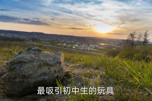 最吸引初中生的玩具