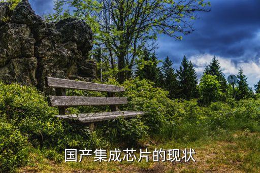 國(guó)產(chǎn)集成芯片的現(xiàn)狀