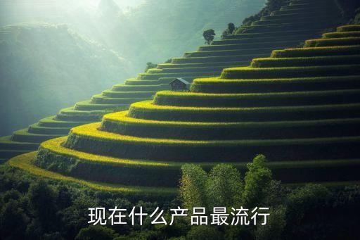 目前什么產(chǎn)品最火爆呢，現(xiàn)在什么產(chǎn)品最流行