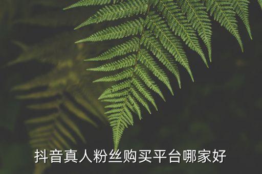 抖音真人點贊下單自助平臺，抖音真人粉絲購買平臺哪家好