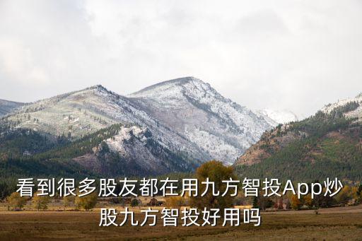 看到很多股友都在用九方智投App炒股九方智投好用嗎
