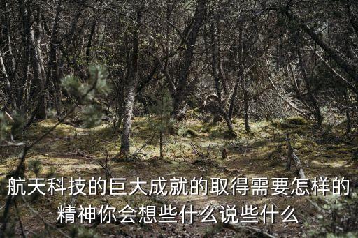 航天科技的巨大成就的取得需要怎樣的精神你會(huì)想些什么說些什么